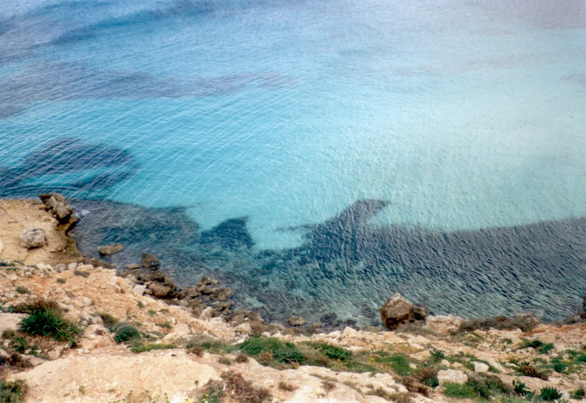 Lampedusa e Linosa a confronto: quale isola scegliere nel 2026?