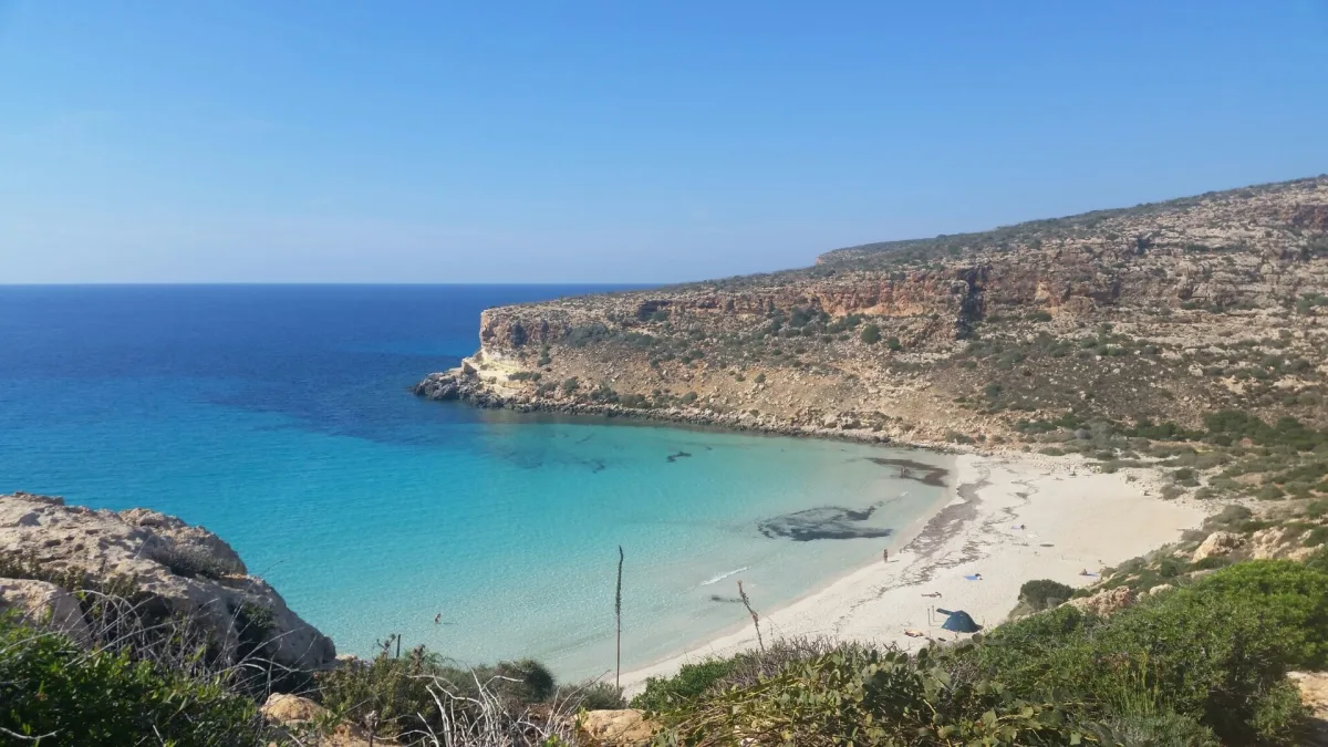 Tartarughe alla Spiaggia dei Conigli di Lampedusa: come e quando vederle